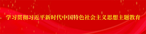 學(xué)習(xí)貫徹習(xí)近平新時(shí)代中國(guó)特色社會(huì)主義思想主題教育